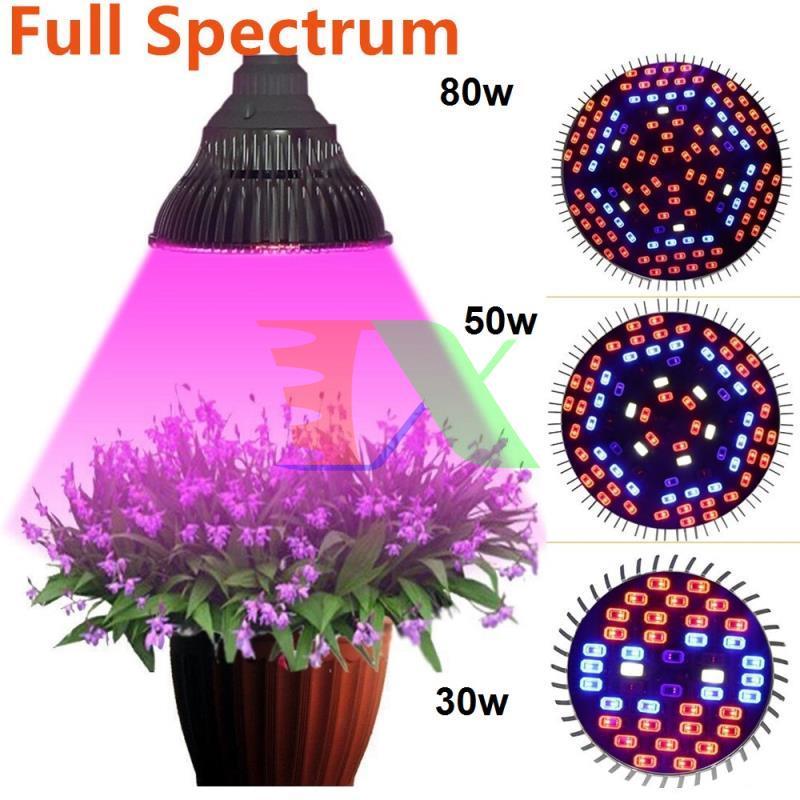 Led grow lights (80W, E27)