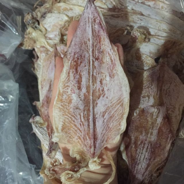 [ Cực Ngon, Ngọt ] 1 Con Mực Câu Khô Vân Đồn Size 28-32 Con/1Kg
