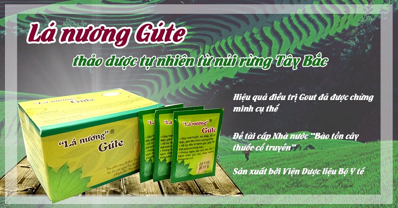 Lá Nương Gute