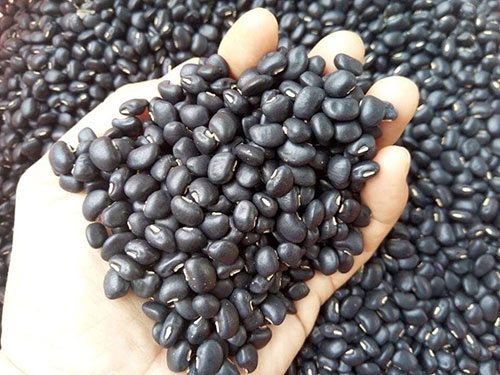 Đỗ Đen (đậu đen) 400gr nhà trồng - nông phẩm quê