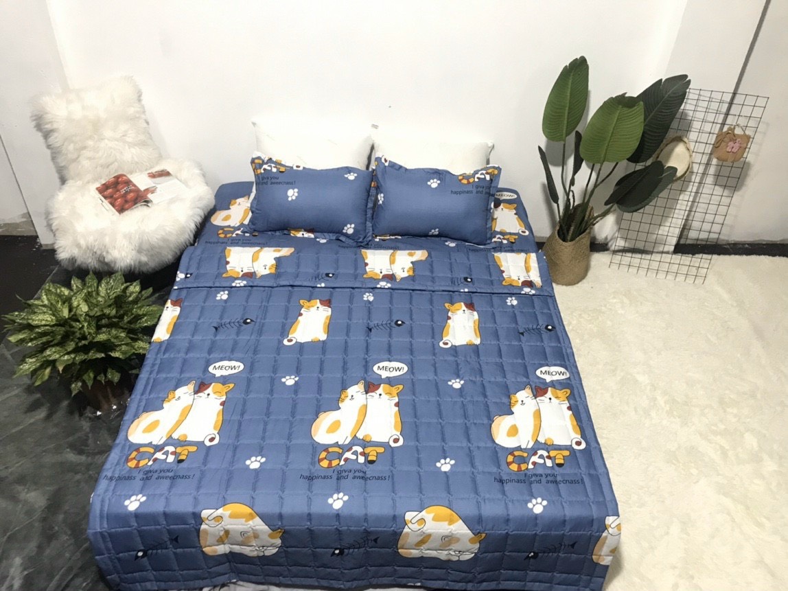 Chăn hè COTTON POLY trần bông 3 lớp (Được chọn mẫu)