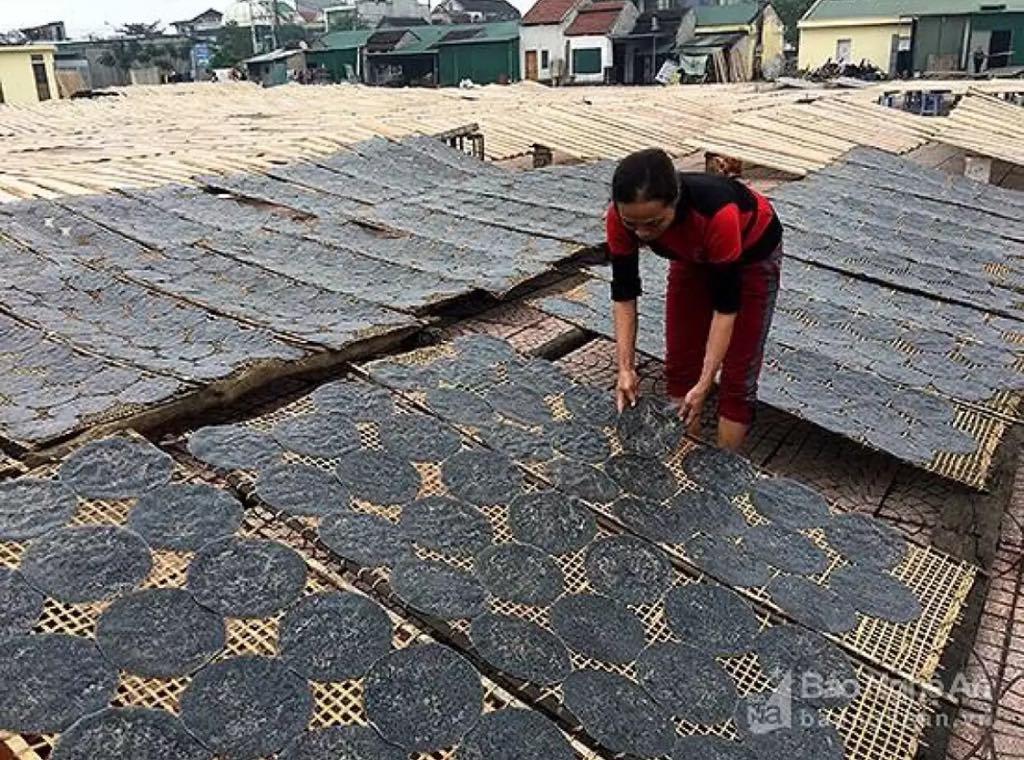 Bánh Đa đặc sản Đô Lương Nghệ An( 10 cái )