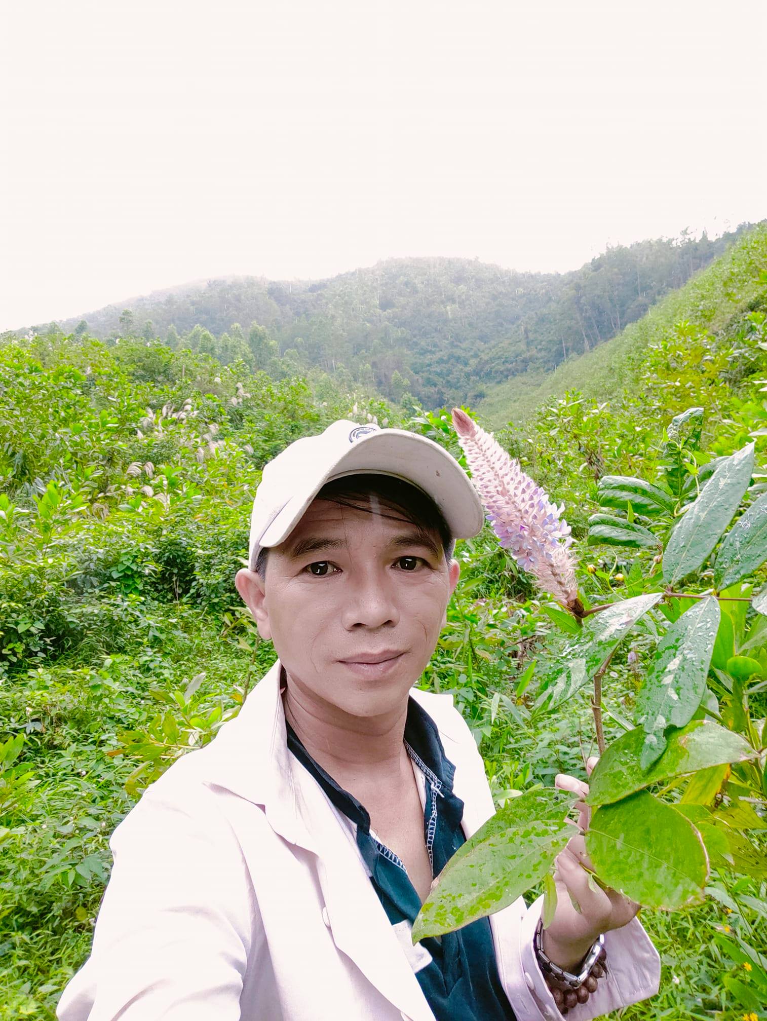 Cây đuôi chồn khô cây hầu vĩ tóc khô