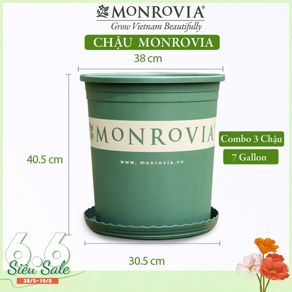 3 Chậu nhựa trồng cây MONROVIA 7 GL, chậu trồng cây, chậu cây cảnh mini, để bàn, treo ban công, treo tường, cao cấp, chính hãng thương hiệu MONROVIA