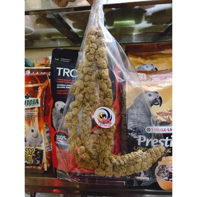 [HCM]Kê chùm vàng Bỉ gói 100g