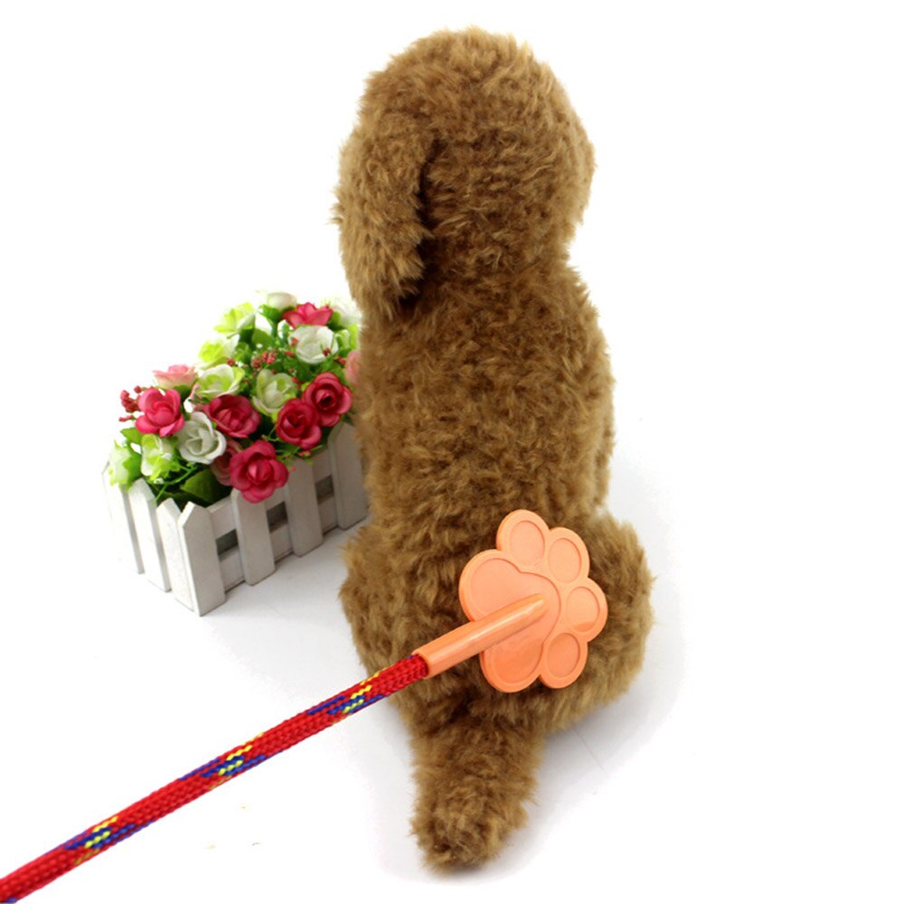 Gậy Tét Mông Huấn Luyện Chó Mèo