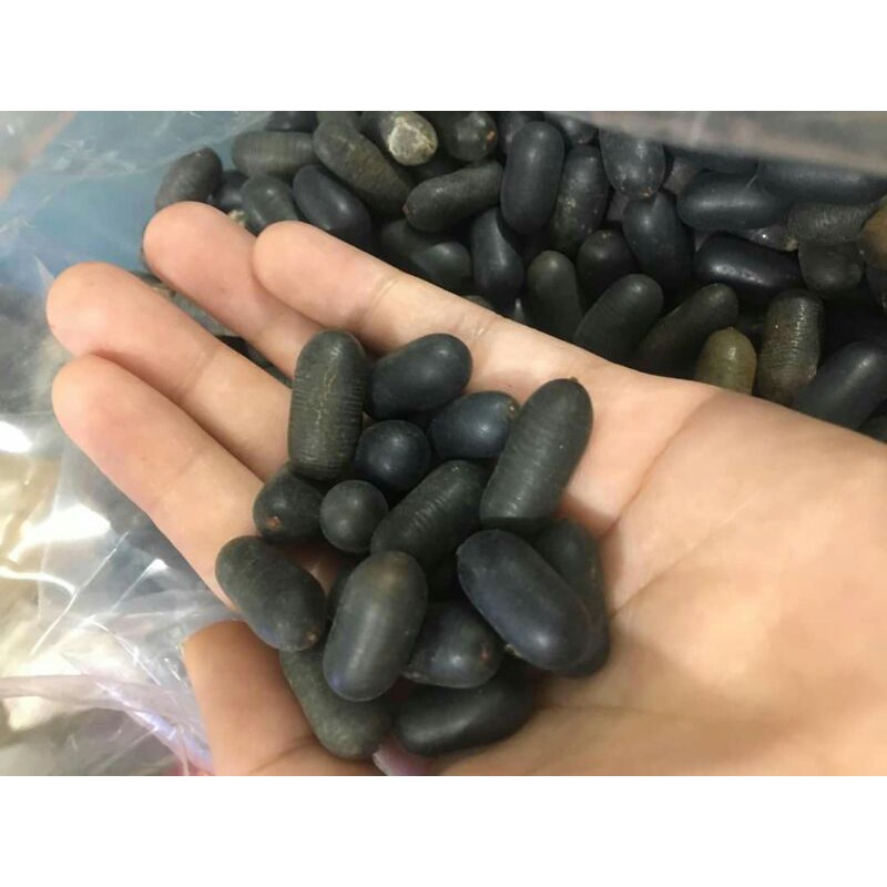 HẠT LẠC RỪNG (HẠT DẠ DÀY)(500gr)