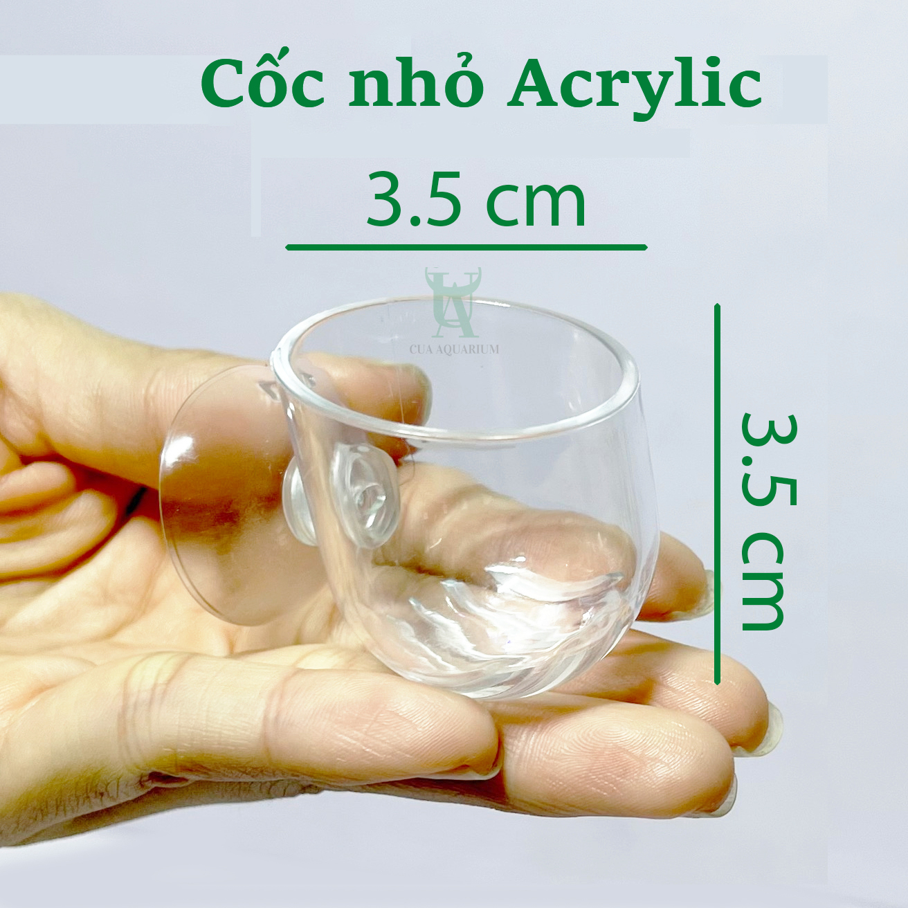 Cốc đựng trùng chỉ , thức ăn cho cá (Acrylic)
