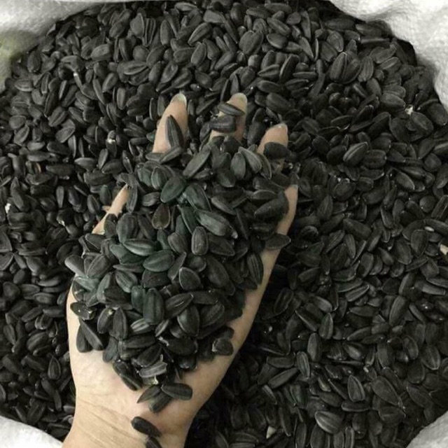 hạt hướng dương đen nhỏ cho chim