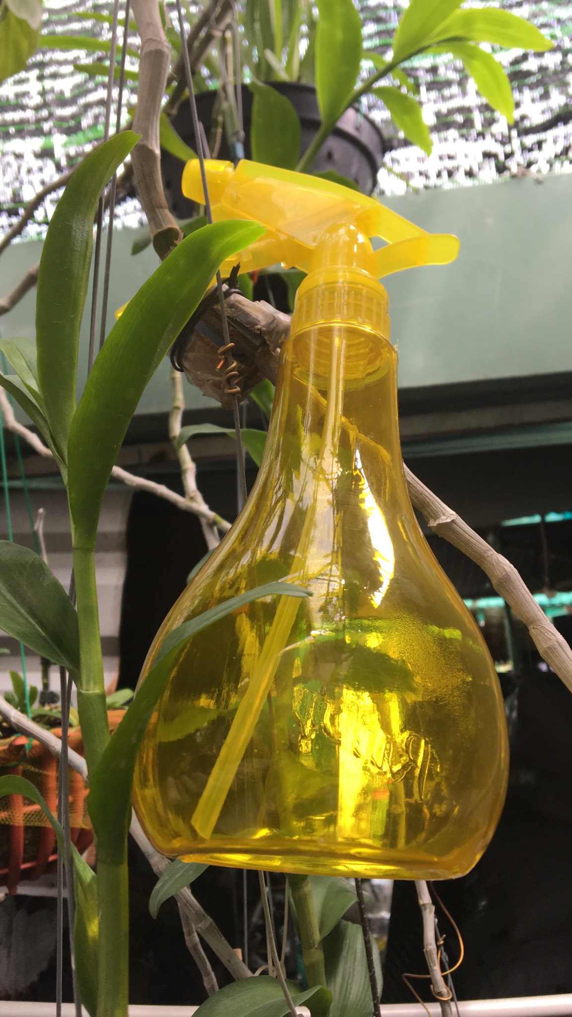 bình xịt mini 500ml đa năng dùng phân hay xịt nước