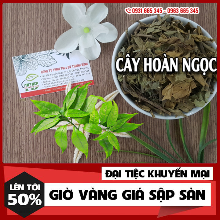 Cây Hoàn Ngọc Khô 500G Hàng Cty- Đông Y Thanh Bình