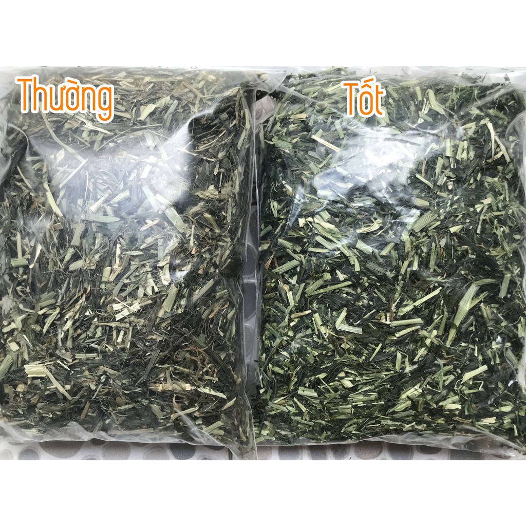 Cỏ Lúa Mạch 🐹FREESHIP🐹 50 Gram Cỏ Lúa Mạch Thức ăn dành cho Thỏ Và Bọ