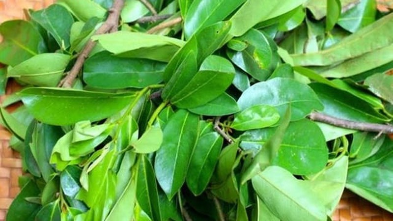 1 kg lá mãng cầu xiêm thái .