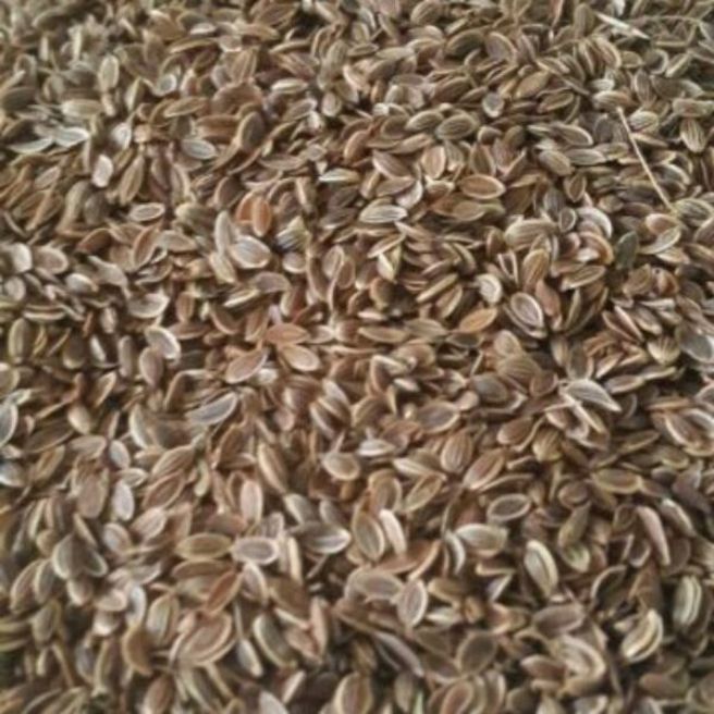100g hạt thì là