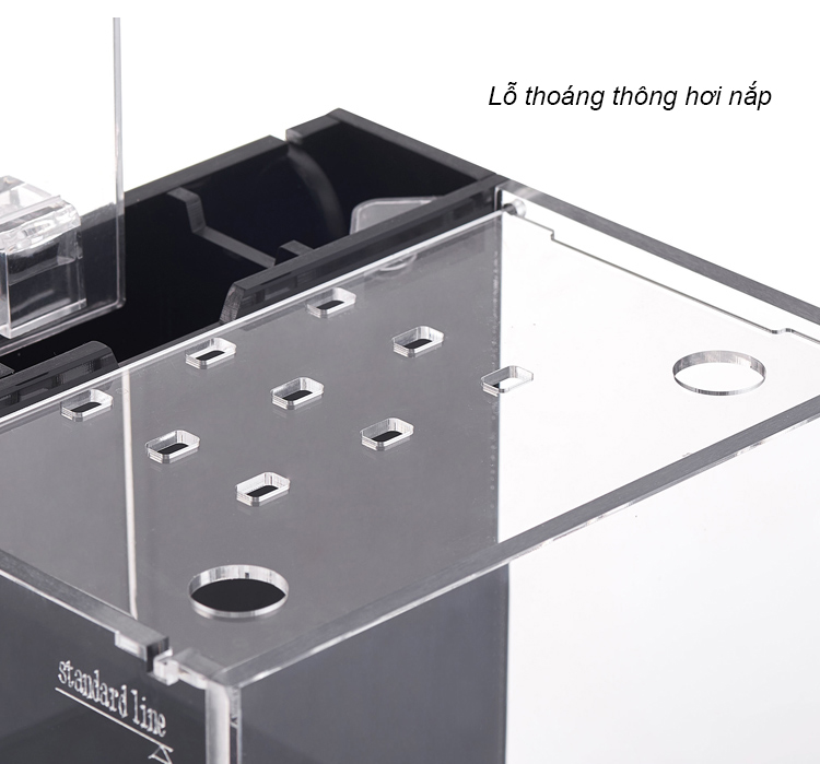 Bể cá mini để bàn Bể thủy sinh mini để bàn 07