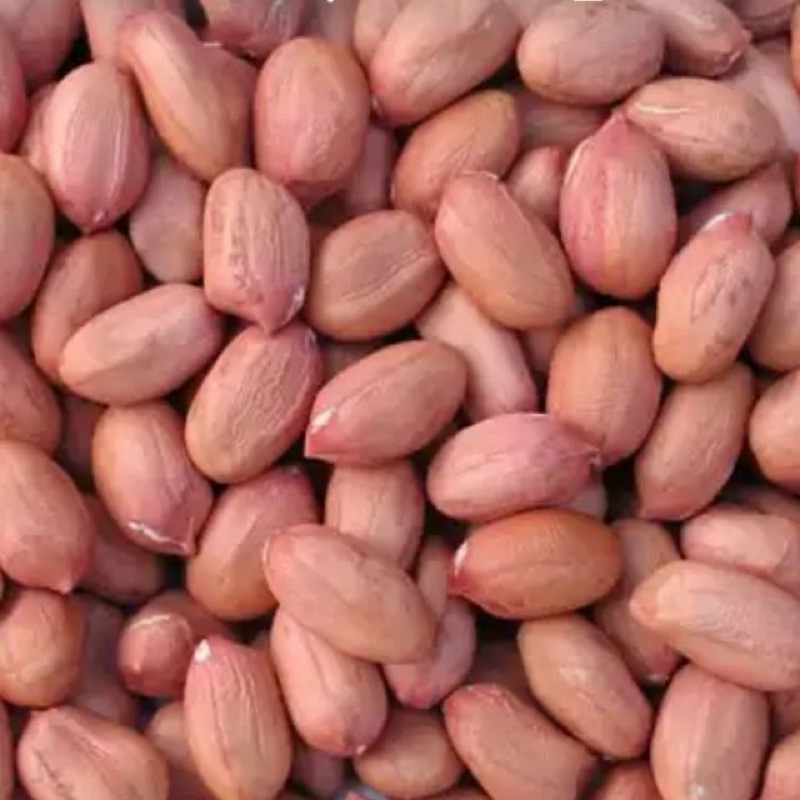 Đậu phộng không màu hạt to