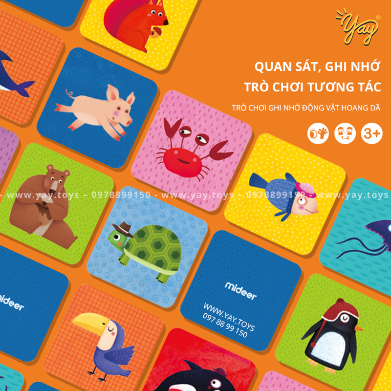 Trò chơi ghi nhớ cho bé 3+ Memory Game animal Mideer