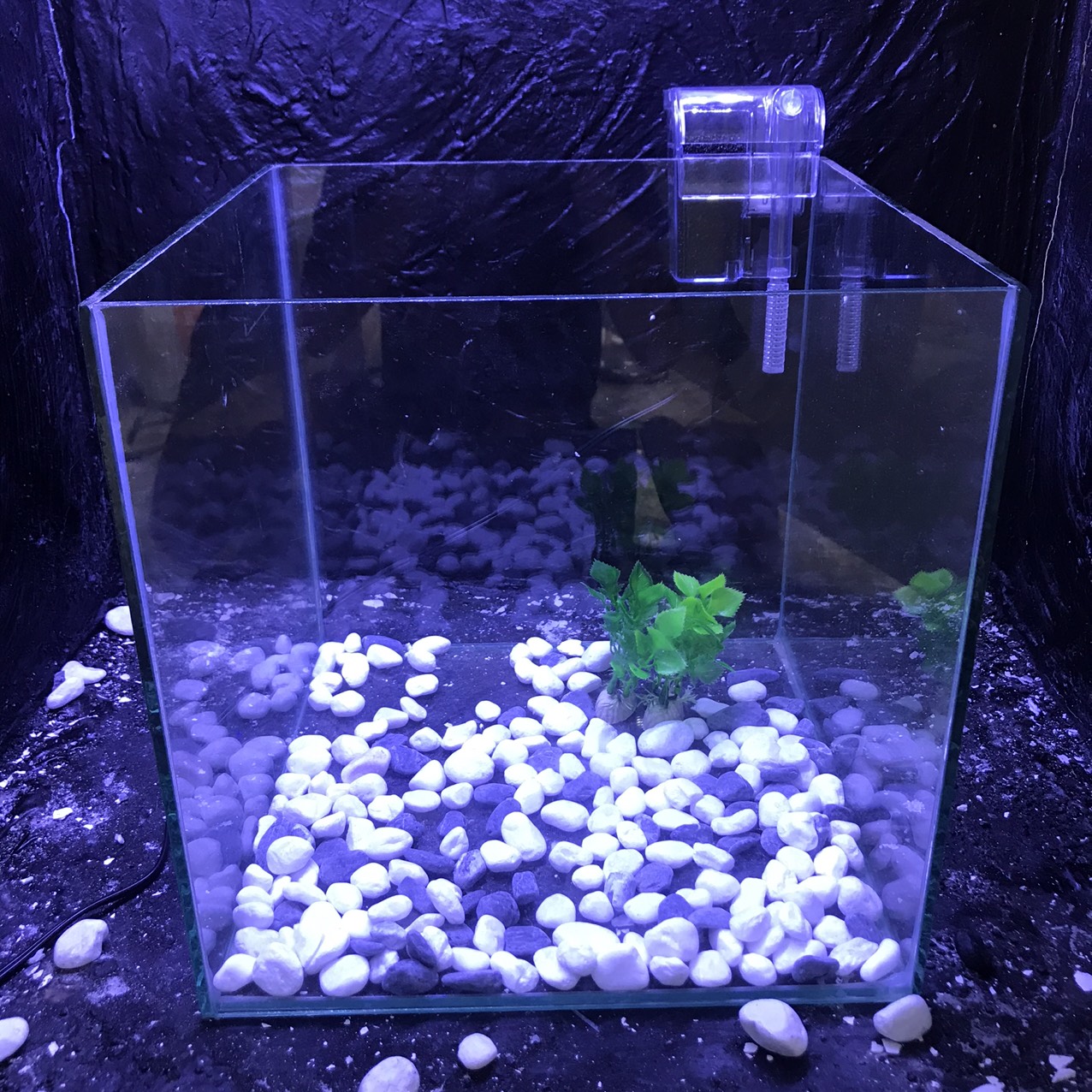 Bể cá mini CUBIC 25cm dành cho nuôi cá cảnh hồ thủy sinh