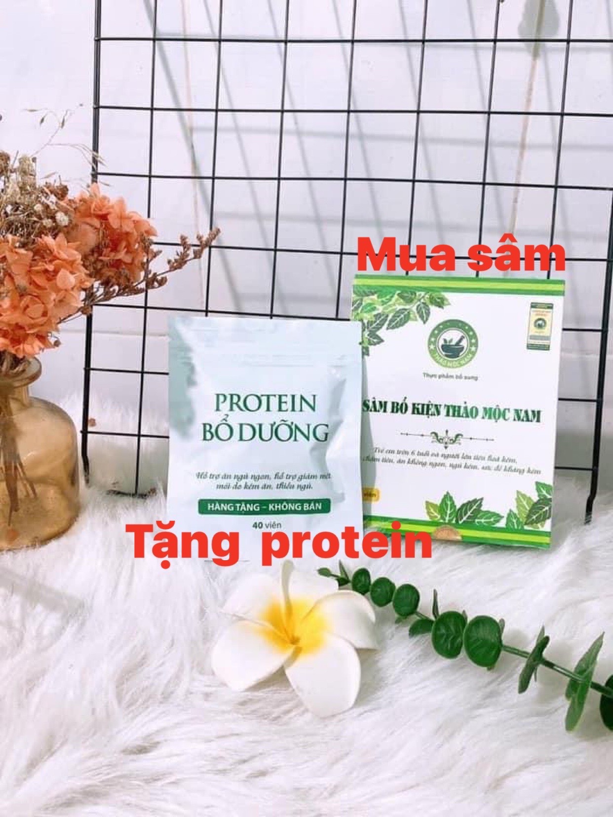 Sâm Bổ Kiện Thảo Mộc Nam - Mẫu Mới Tặng PROTEIN