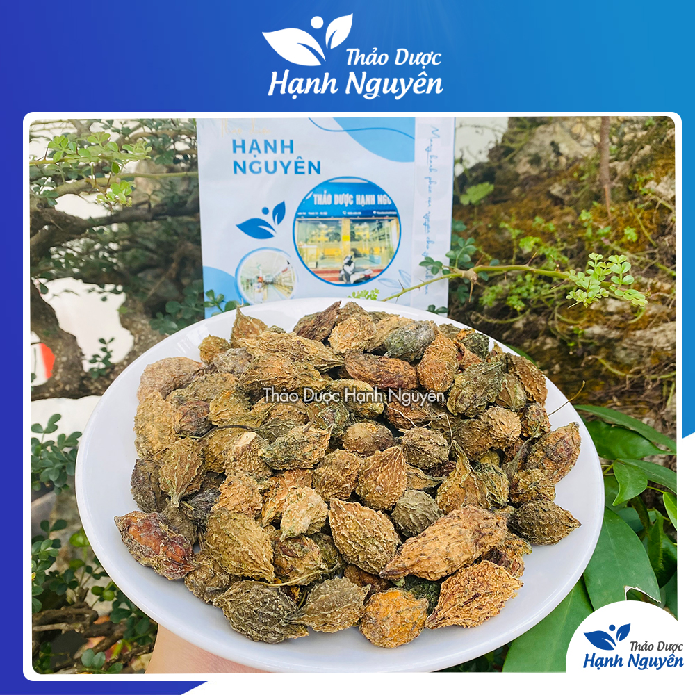 Khổ qua rừng 100g, mướp đắng rừng sấy khô nguyên quả - Thảo Dược Hạnh Nguyên