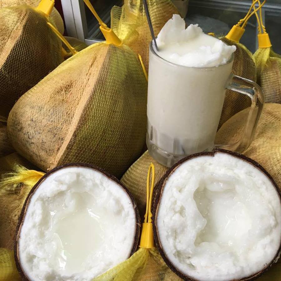 Dừa Sáp Loại 2 Cơm Đặc, Ngon ( Đặc Sản Trà Vinh )