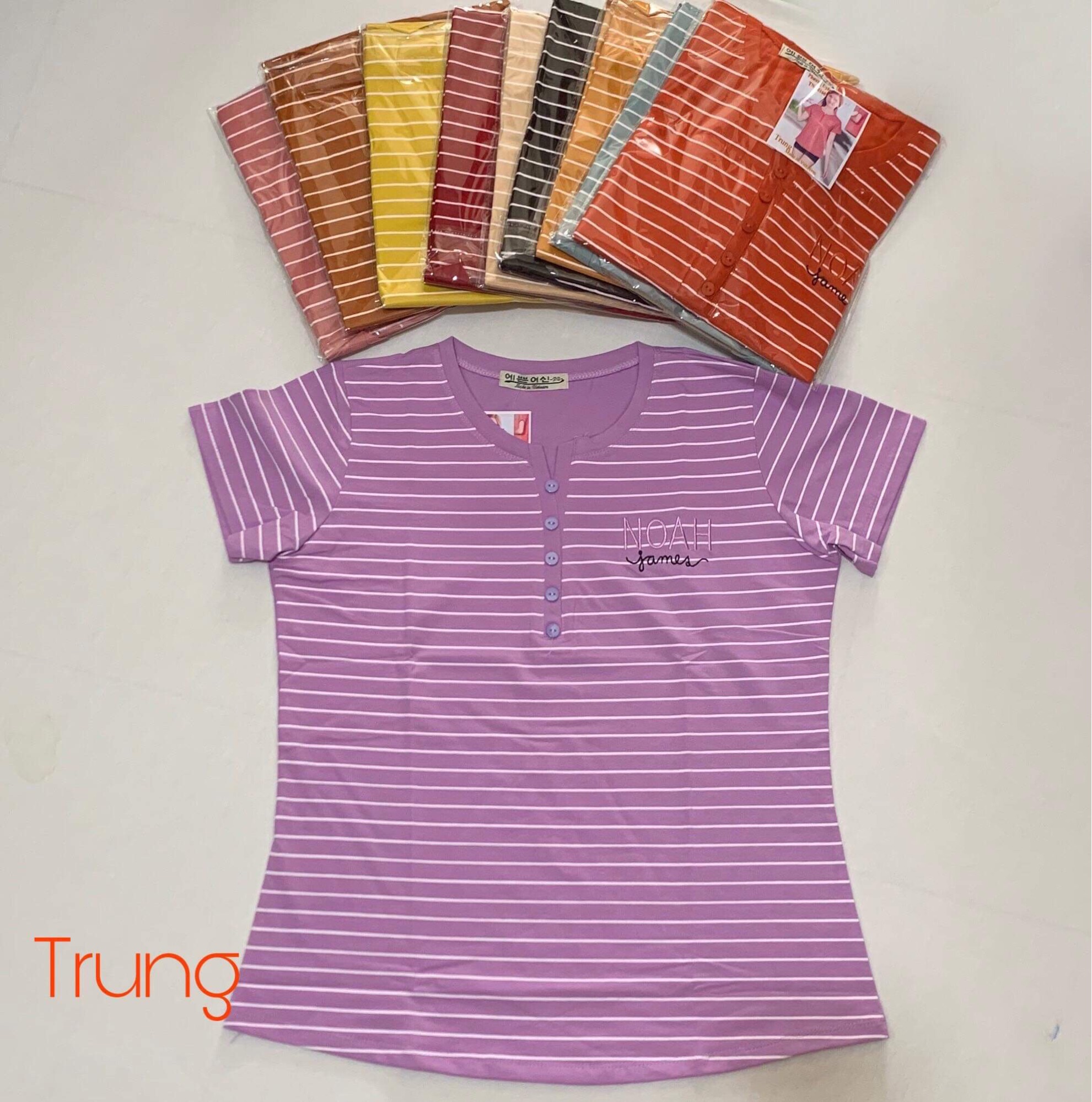 [HCM]Áo thun cotton Quảng Châu size 40-68kg (khách mua xem phần mô tả sản phẩm dùm shop nhé)