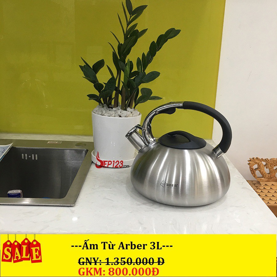 ẤM ĐUN TỪ ARBER AB03LI