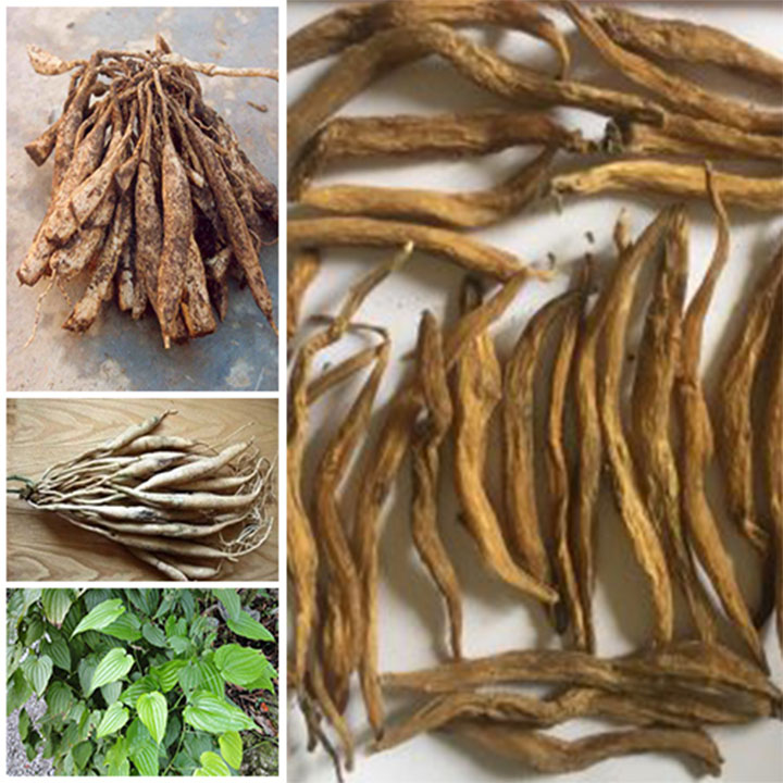 Củ bách bộ khô 1kg