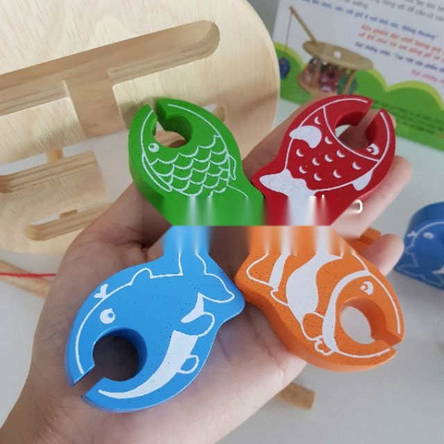 Thử thách câu cá Winwintoys