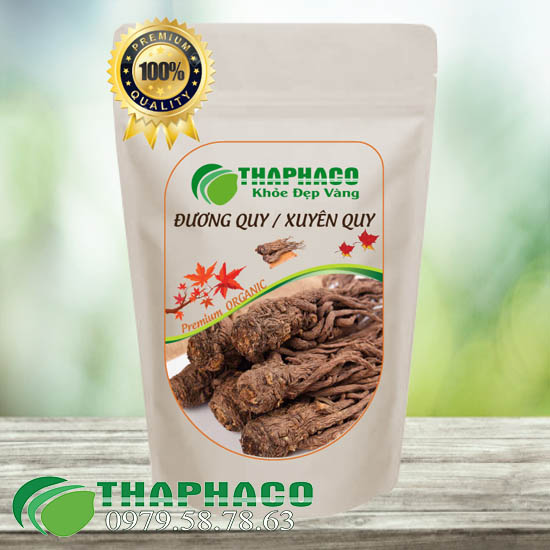 [1kg] Đương Quy Sấy Khô - Hàng Công Ty Thaphaco - Sản Phẩm Thiên Nhiên Giúp Bồi Bổ Và Tăng Cường Sức Khỏe