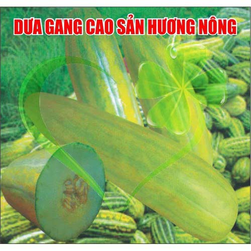 Hạt giống dưa gang trái dài - gói 5 gram