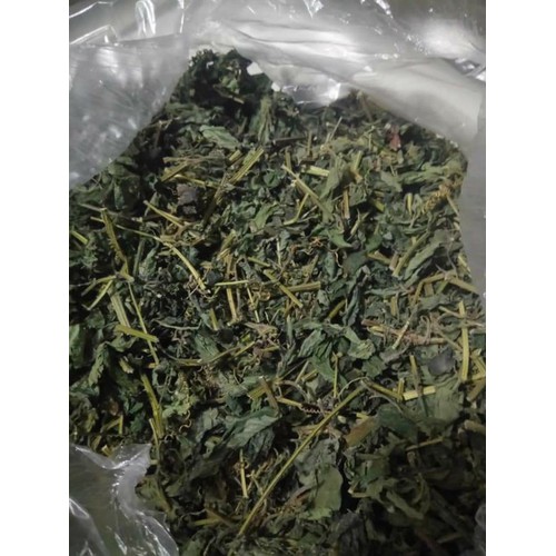 Trà Giảo cổ lam Sa Pa (loại 7 lá sao khô) gói 500g dùng thử