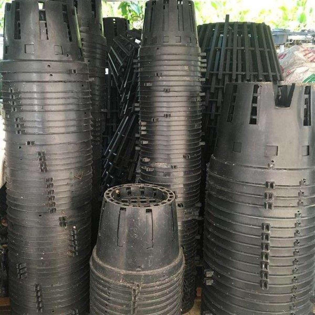 Combo 10 Chậu Nhựa Trồng Lan fi 18