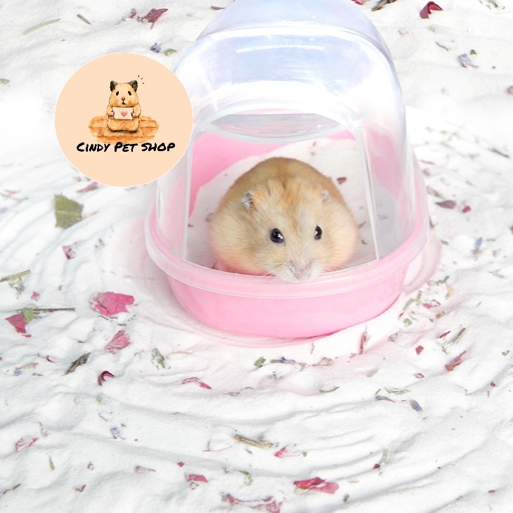 Cát tắm thơm mix hoa cho Hamster