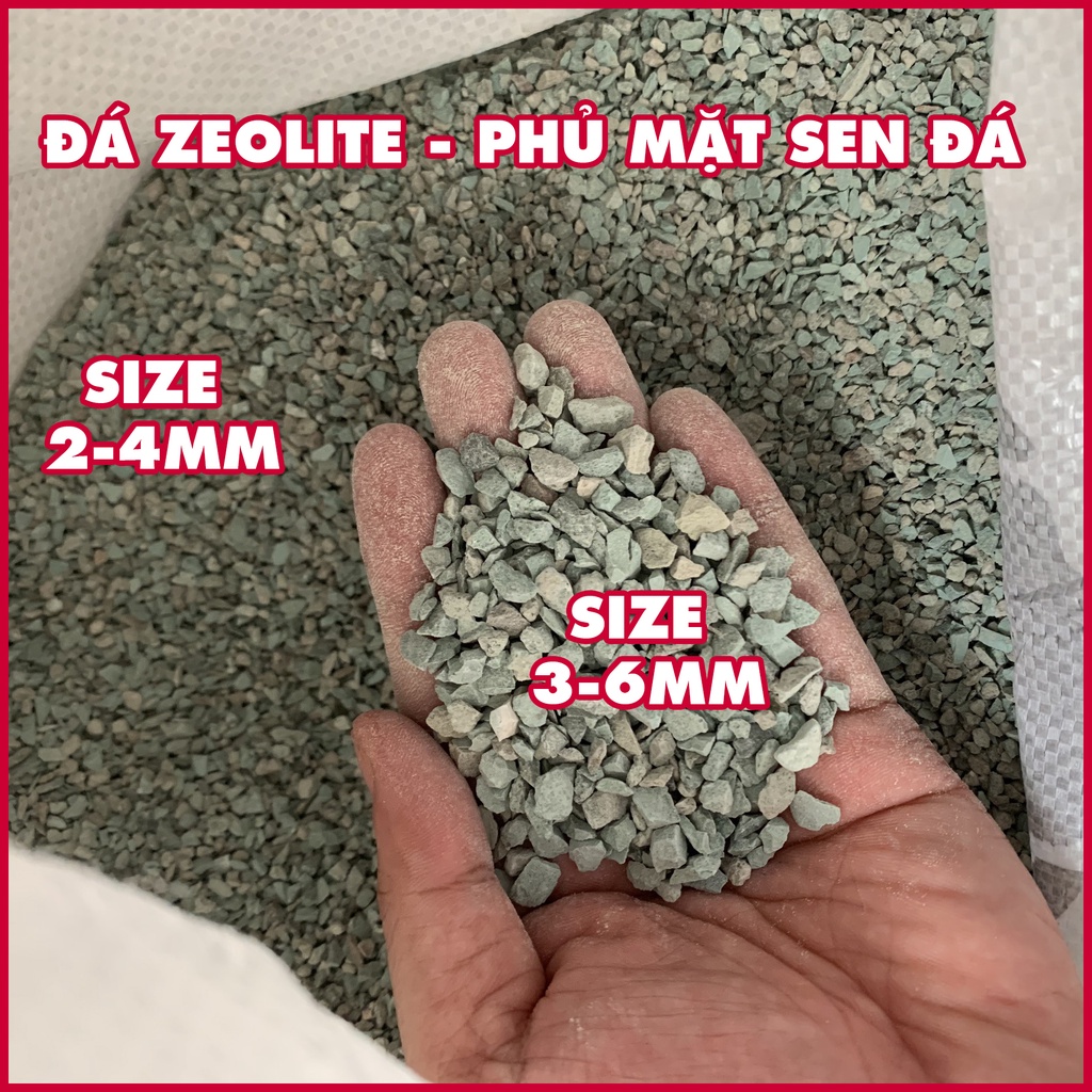 (500gr) Đá Zeolite rải mặt sen đá, xương rồng giúp cách nhiệt, giữ ẩm tốt cho cây