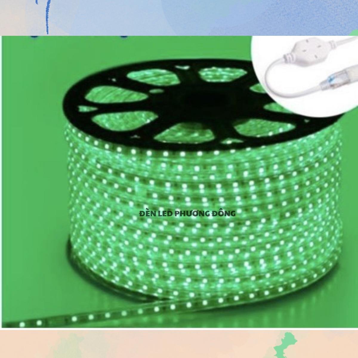 Cuộn 100m LED Dây đôi 2835 - 2 hàng bóng siêu sáng