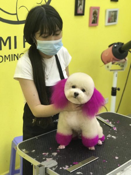 Máy Cạo Lông Chó Mèo Chuyên Nghiệp, Tăng Đơ Kemei KM-1051, cắt tỉa lông, tông đơ chăm sóc lông thú cưng.