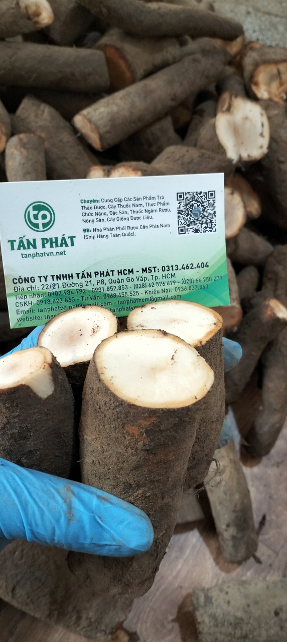 Củ gai tươi an thai 500g - tấn phát
