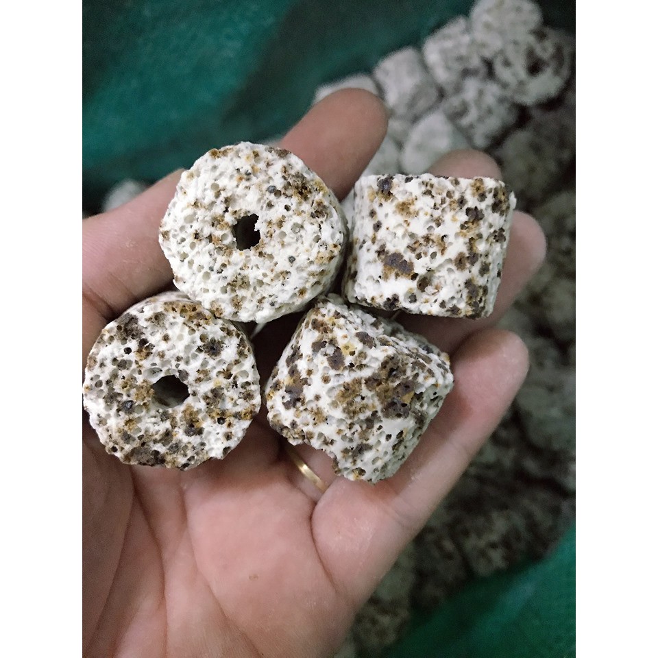 [HOÀN TIỀN 10%]Vật liệu lọc bể cá cảnh-Sứ viên muối tiêu (1kg)