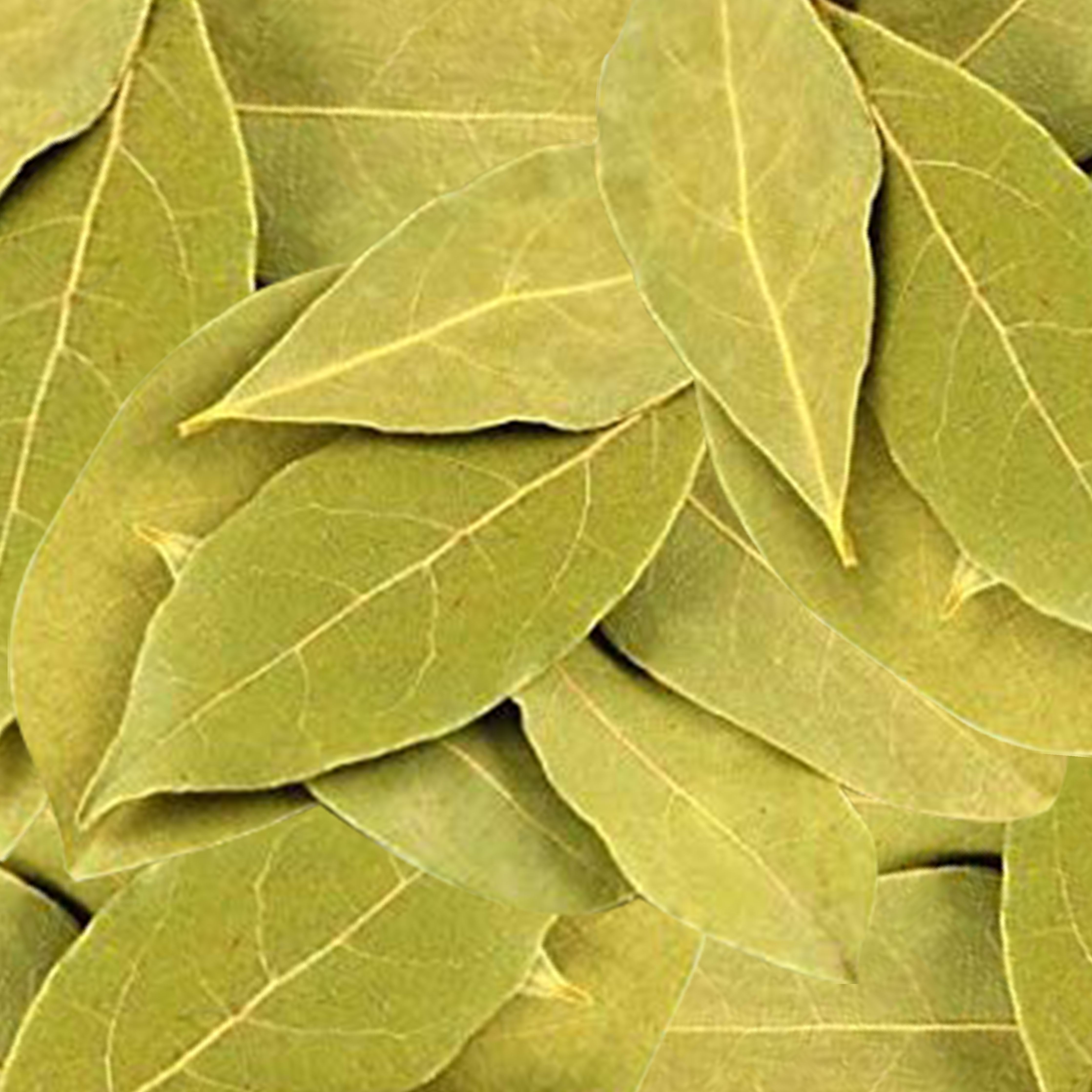 Ong Cha Va Bay Leaf 8g