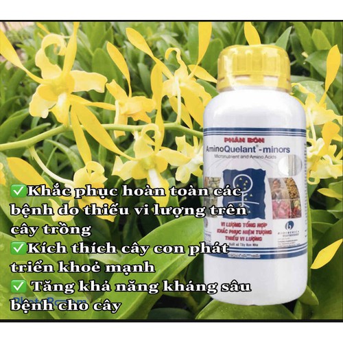 AMINO QUELANT MINORS BỔ SUNG VI LƯỢNG CHỐNG VÀNG LÁ CHO CÂY 500 ML - AMINO QUELAN
