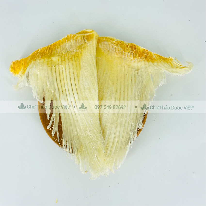 Vi cá mập khô cao cấp 100g (Dạng miếng, nấu súp bào ngư, hầm canh bồi bổ sức khỏe) - Chợ thảo dược việt
