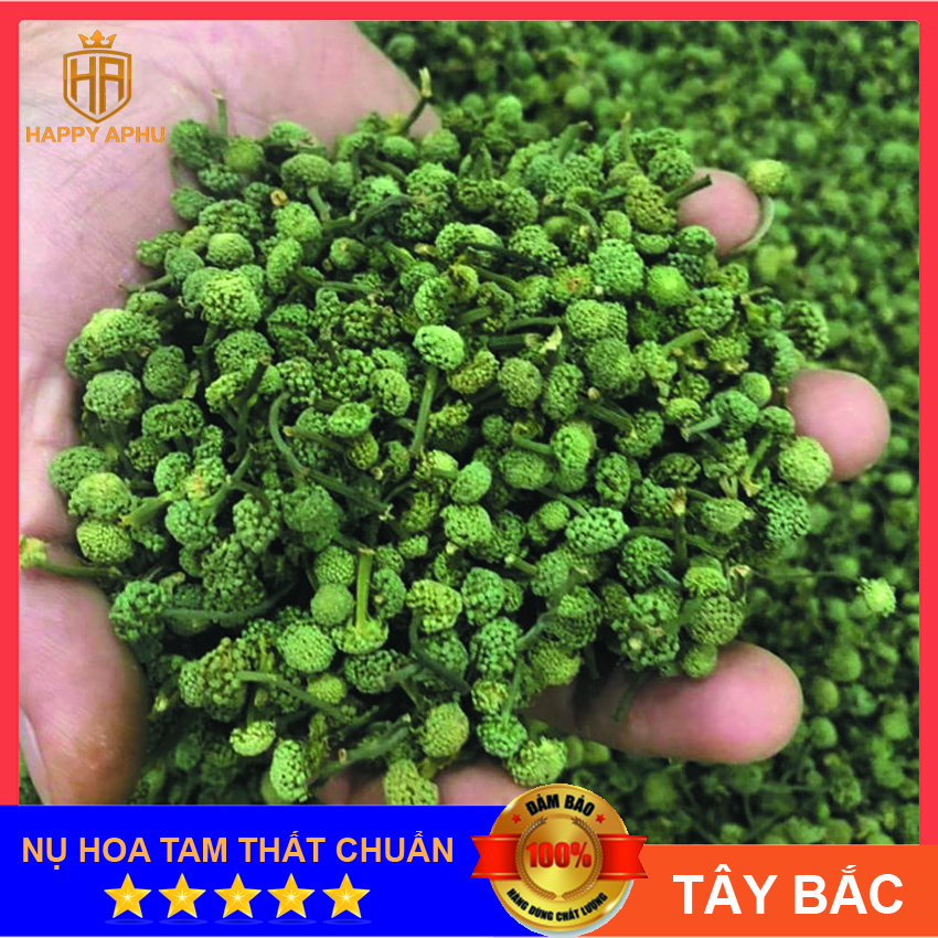250g nụ hoa tam thất tây bắc chuẩn 5 sao - trà hoa tam thất giúp thanh nhiệt cơ thể, nụ hoa tam thất giúp giải độc mát gan, thanh nhiệt cơ thể