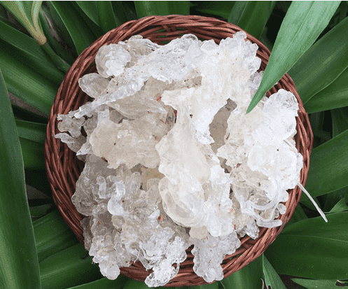 Tuyết yến loại thượng hạng 100gr