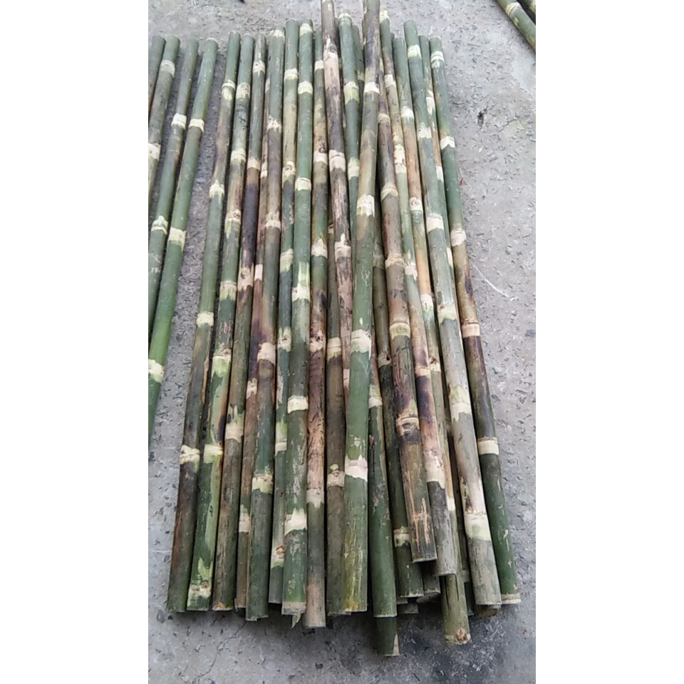 Set of 2 Hoes and 2 Bamboo Shovels, 1 Meter Long
