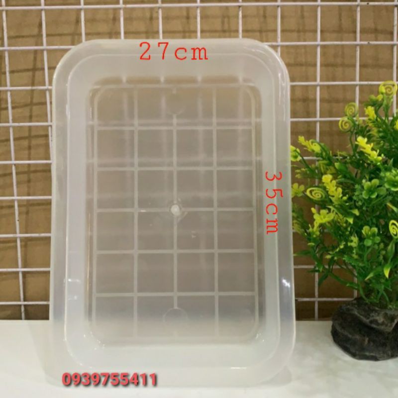 Thau tắm cho chim họa mi thau đựng sâu cho chim chích chèo thau tắm chim chích chèo