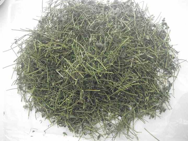 1kg trà giảo cổ lam -TDSO1
