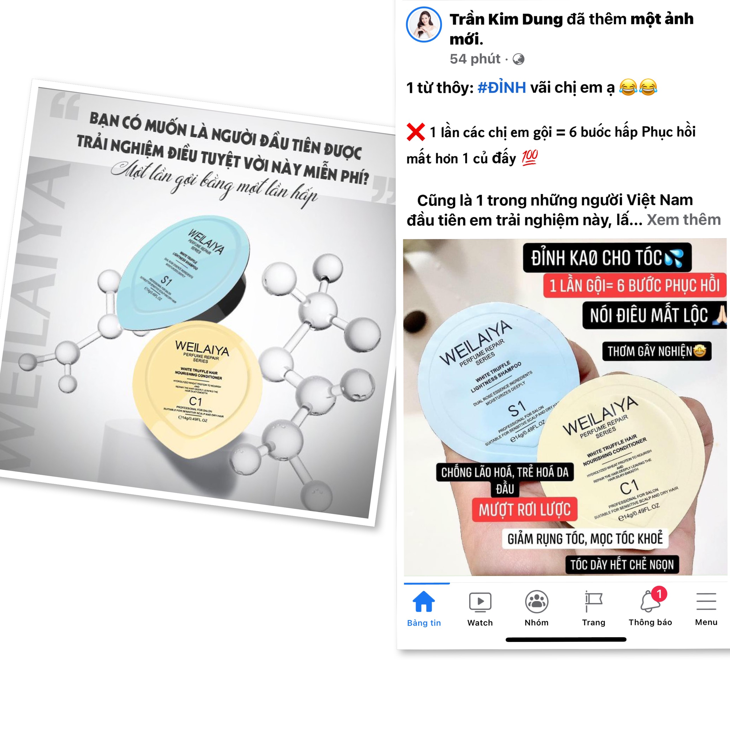 Set Mini Gội Xả Phục Hồi Nấm Truffle Weilaiya