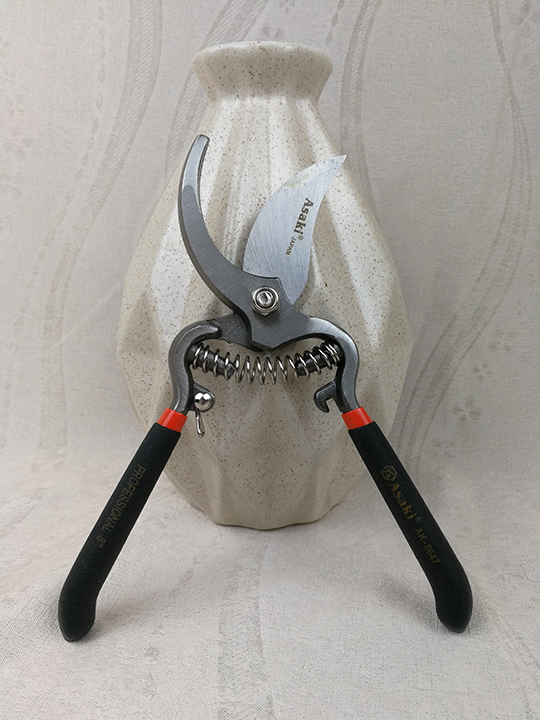 Kéo cắt cành lưỡi cong 8” ( 200 mm ) Asaki AK-8647