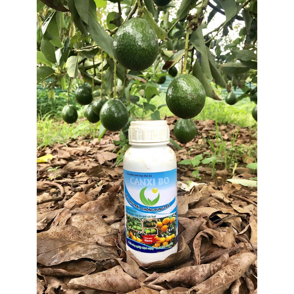 CHẾ PHẨM SINH HỌC CANXI BO (SIÊU ĐẬU TRÁI, CHỐNG RỤNG TRÁI)HLC CAN 5L